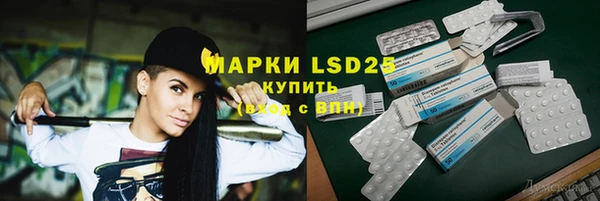 ГАЛЛЮЦИНОГЕННЫЕ ГРИБЫ Алексеевка