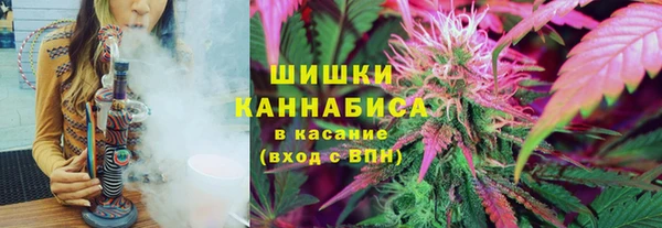 ГАЛЛЮЦИНОГЕННЫЕ ГРИБЫ Алексеевка