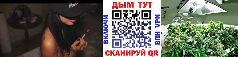 наркота  Новоаннинский  Канабис семена 